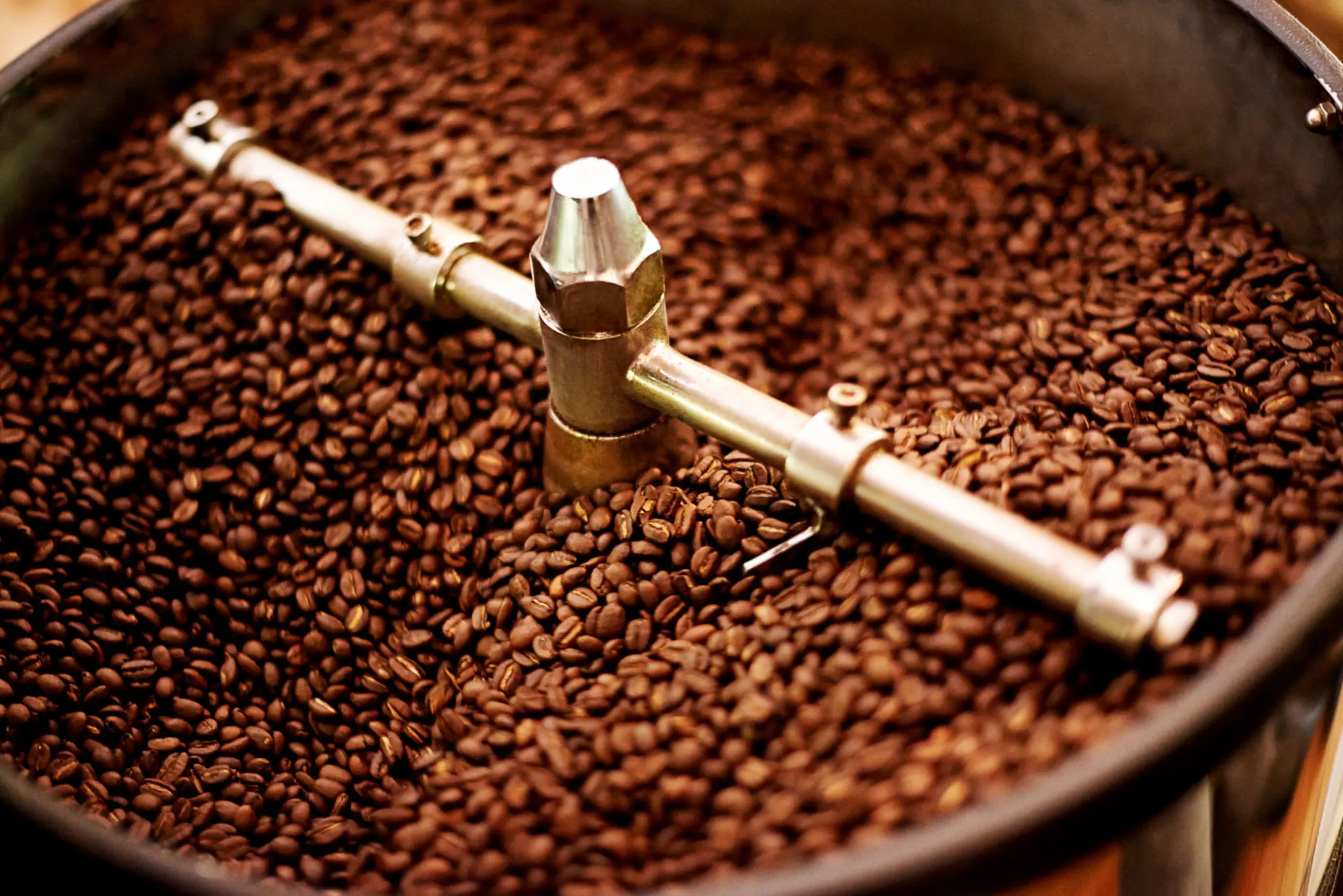 coffee wholesale roasting